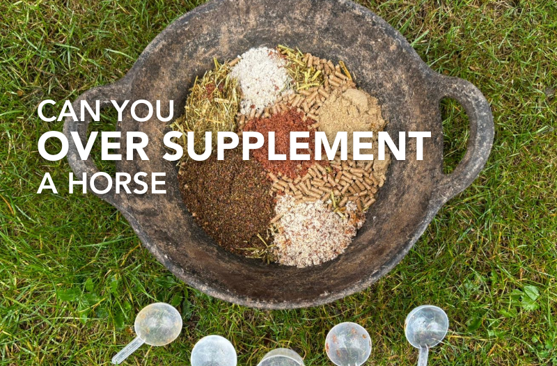 Can you over supplement a horse? A look at how much is too much